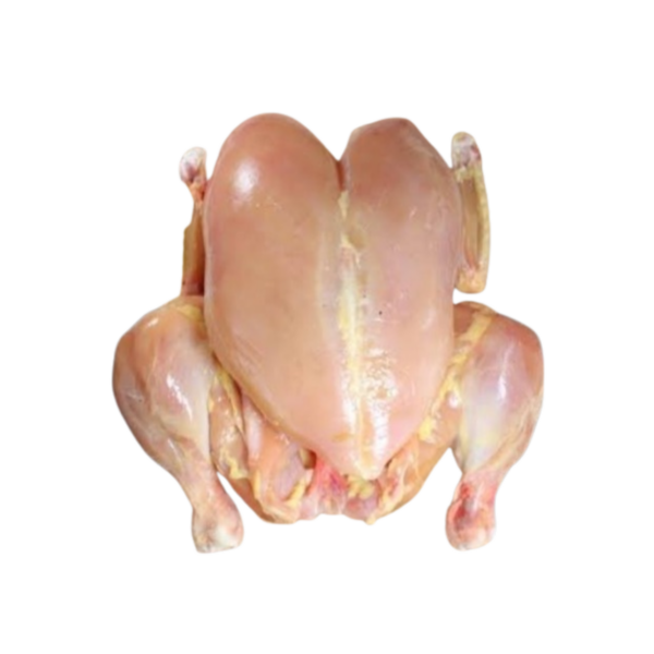 Pollo RTC #0 al #10 - Imagen 3